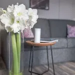 Aparthotel Lakeside Seefeld