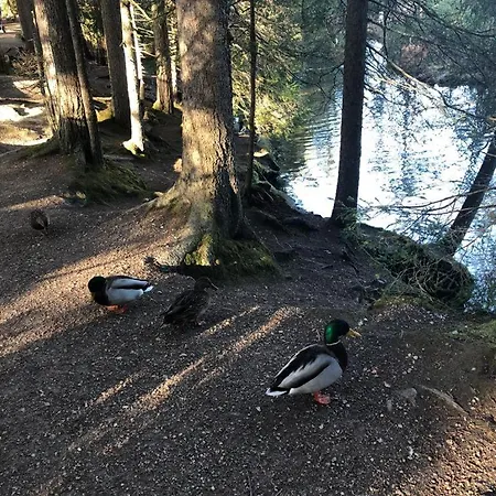Lakeside Seefeld