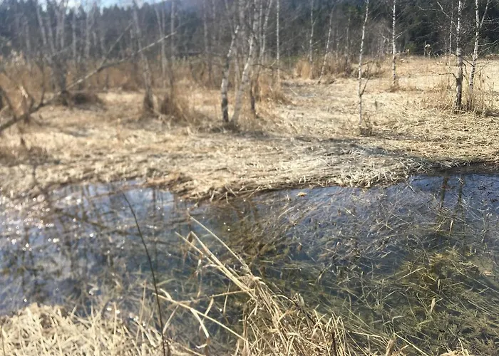 ليكسايد سيفيلد 4*