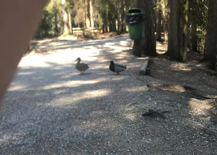 ليكسايد سيفيلد 4* سيفيلد ان تيرول