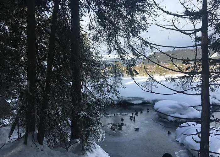 شقة فندقية ليكسايد سيفيلد 4*