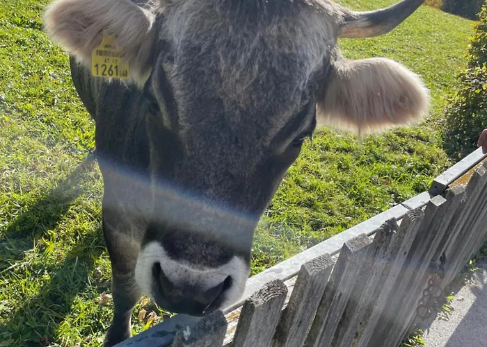 ليكسايد سيفيلد شقة فندقية سيفيلد ان تيرول