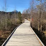 ليكسايد سيفيلد