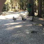 ليكسايد سيفيلد 4* سيفيلد ان تيرول