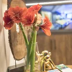 Lakeside Seefeld Апарт-отель