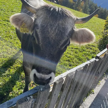 Lakeside Seefeld Aparthotel Seefeld in Tirol